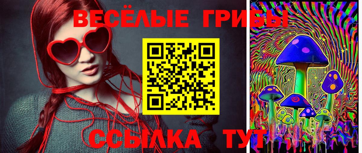 Псилоцибиновые грибы мухоморы Чайковский