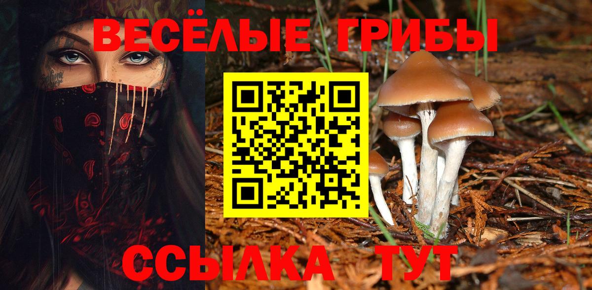 Чайковский  Псилоцибиновые грибы GOLDEN TEACHER  Вход с VPN  Галлюциногенные грибы прущие грибы 